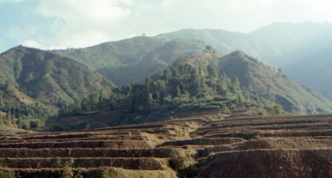 vista do Taj Express