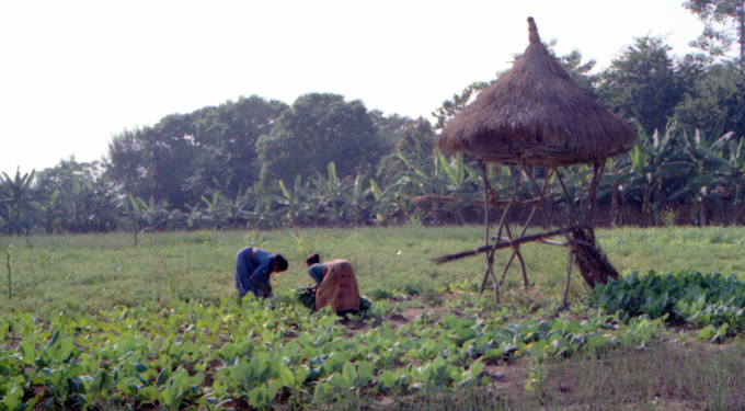 site_nepal_reserva_agricultura
