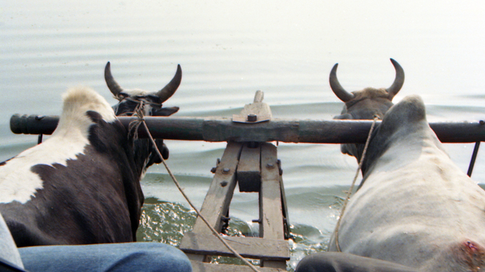 Transporte para reserva de Chitwan