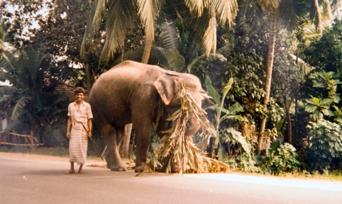 Sri Lanka - na estrada