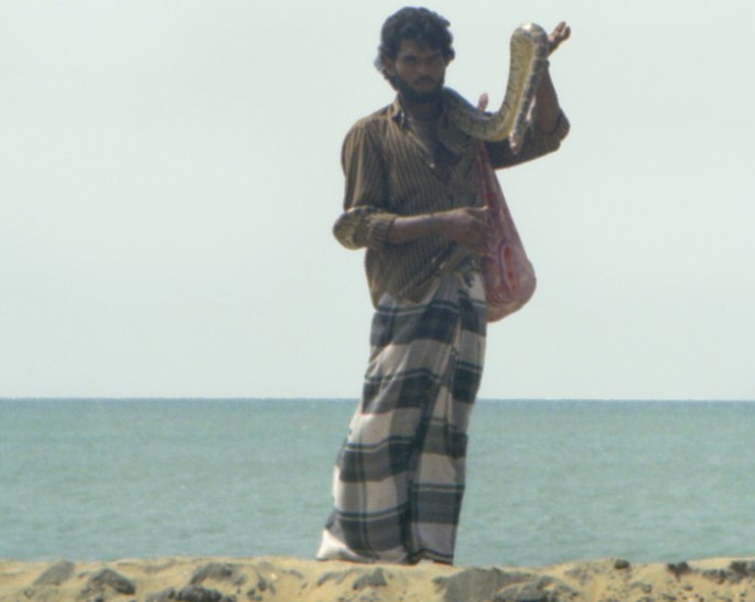 domador de serpentes