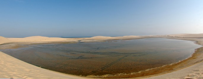 site_deserto_mardentro_peixe