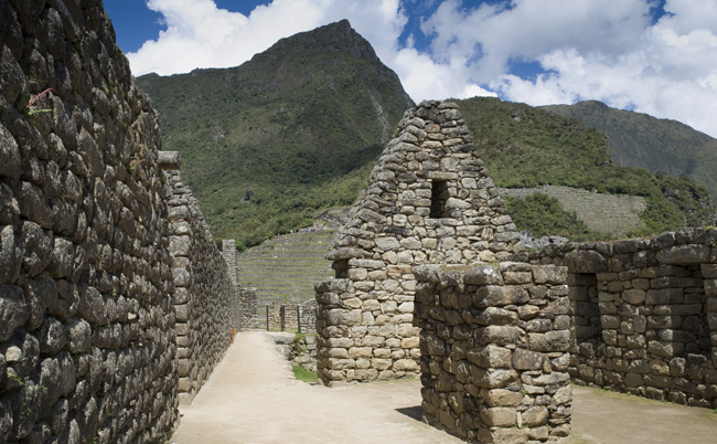 Machu Picchu