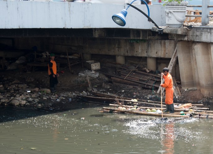 transporte de cocos no rio