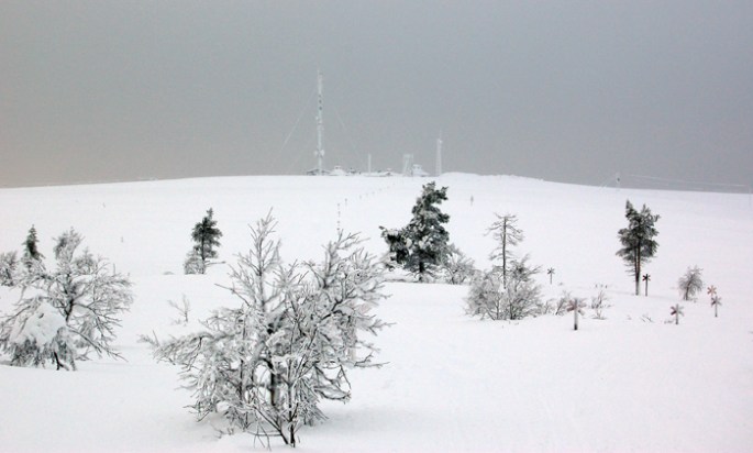 restaurante em Palopaa