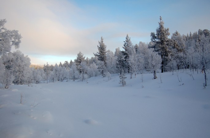 site7_caminhada_sol6