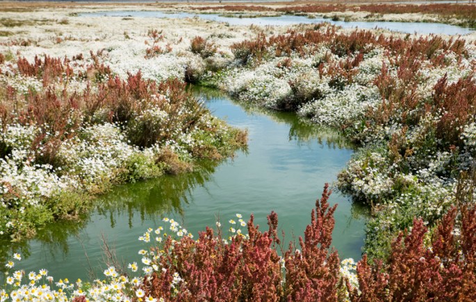 site_calafate2g_laguna1q