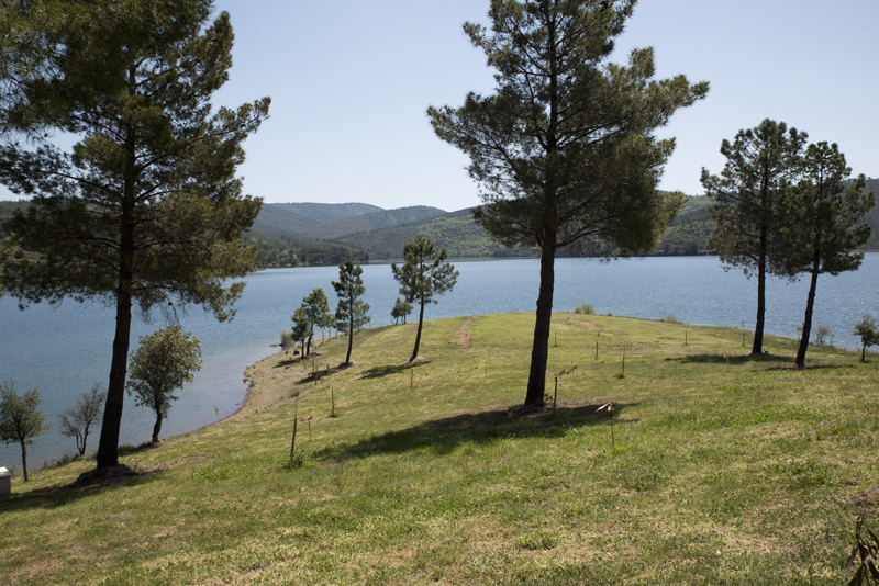 praia fluvial do Meimão