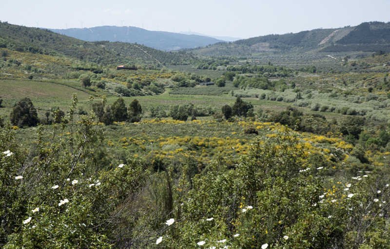 espaço verde rodeia a barragem