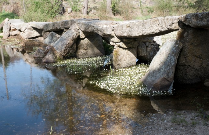 pontão sobre a Ribeira