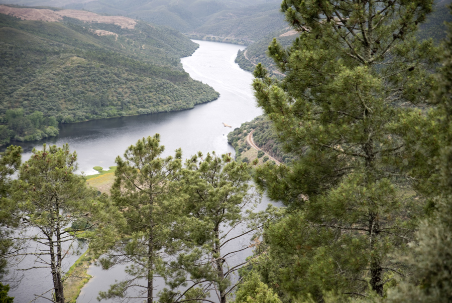 Vista do Castelo com o Tejo