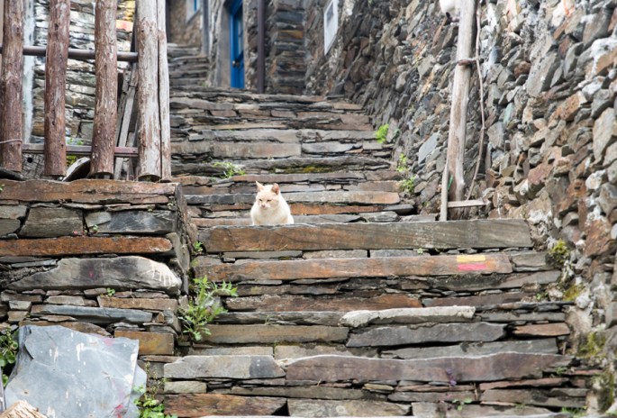 Escadaria a caminho da ribeira