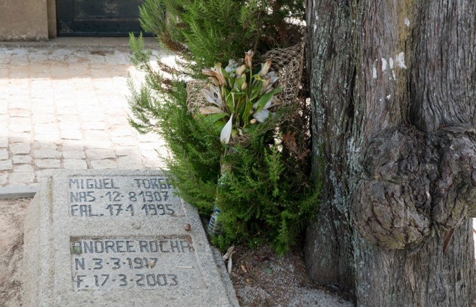 Uma torga junto à campa de M. Torga e Andree Rocha