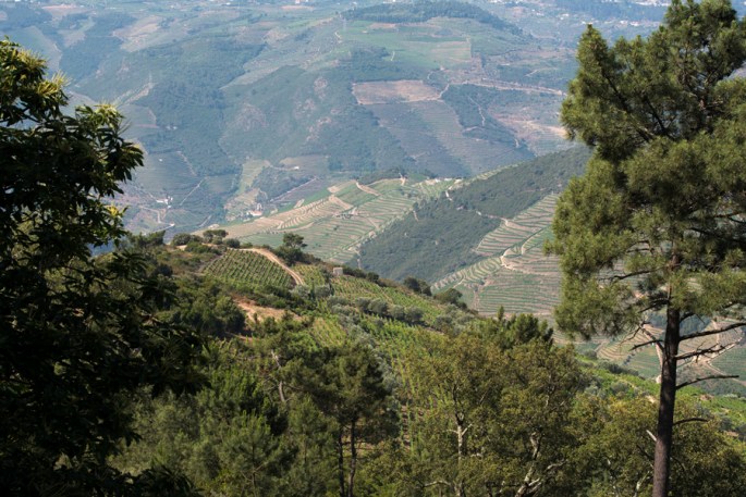 As encostas do Douro