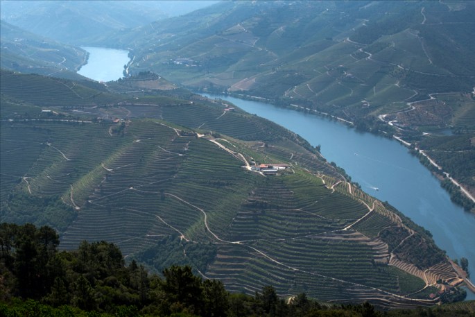 Vista do Douro a partir do miradouro