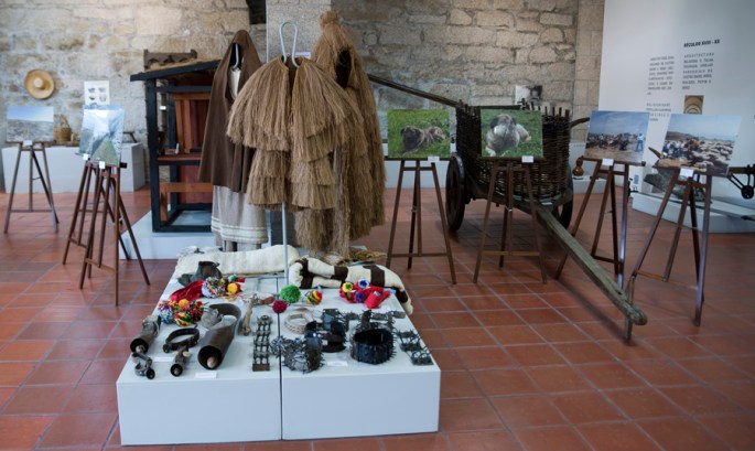 Museu de Castro Daire