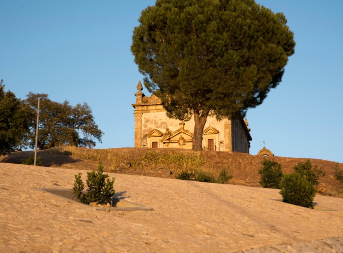 O pinheiro a tapar a vista da capela