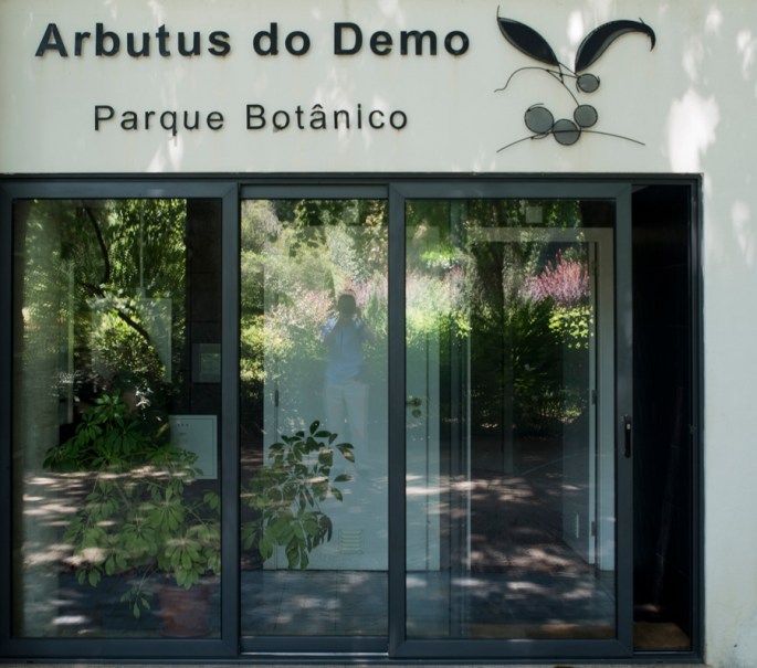 Centro Interpretativo