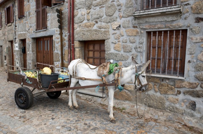Recolha de produtos agrícolas