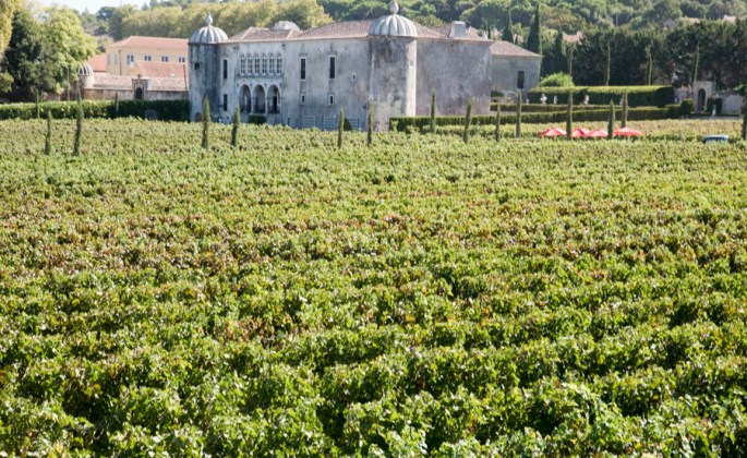 Quinta e Palácio da Bacalhôa