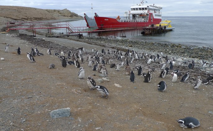 O Melinka no cais improvidao na Ilha Madalena