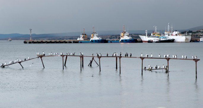 Porto de pesca no estreito Magalhães