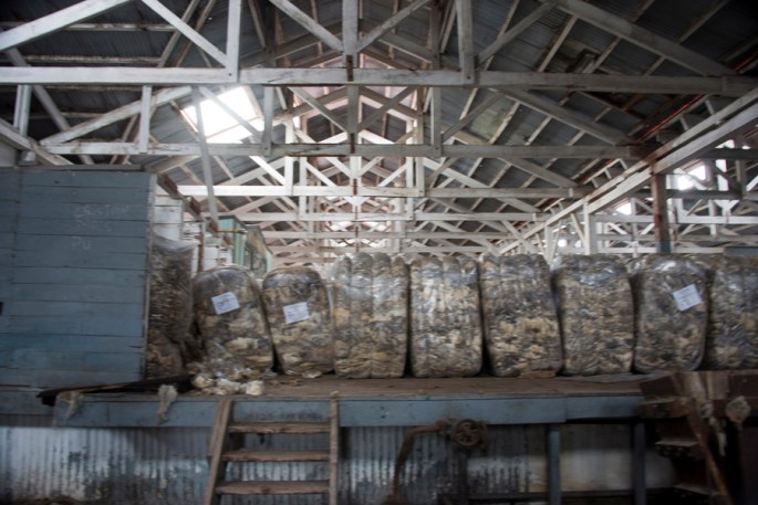 Estância de San Gregório