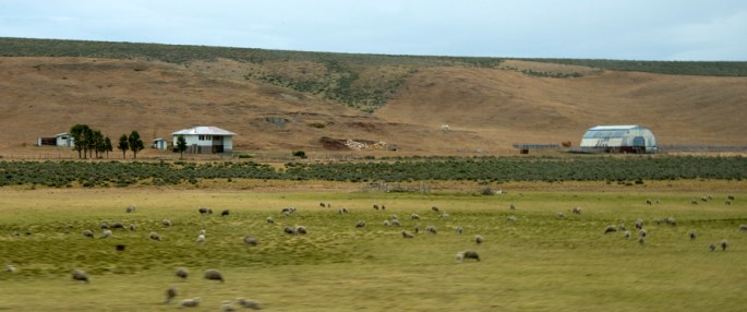 A estepe na Terra do Fogo