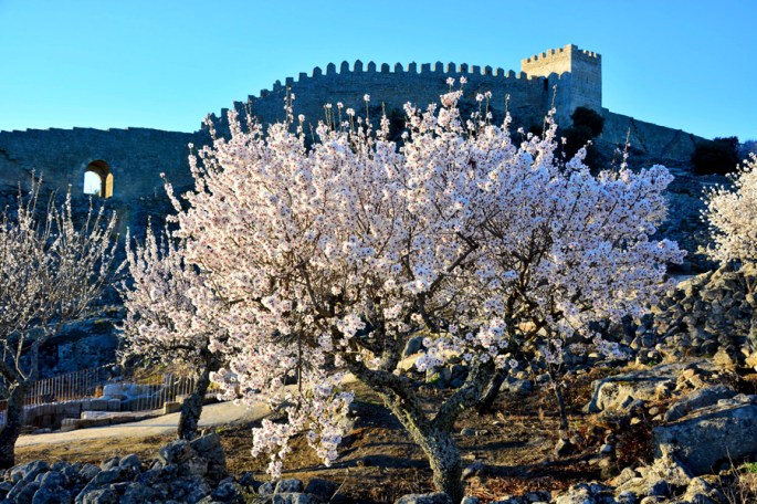 Foz Côa ©José Romero Cuca