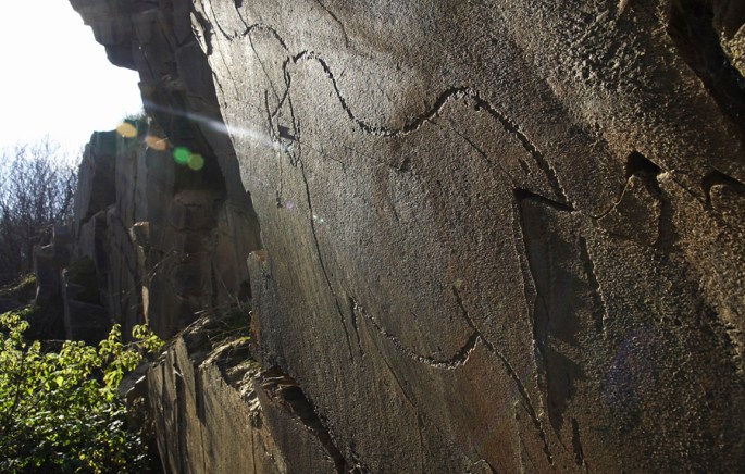 Gravuras Rupestres do Côa ©António Manuel Garrido Jerónimo