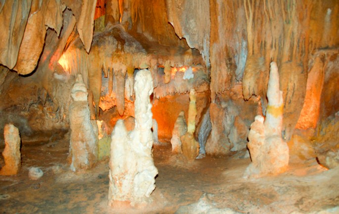 São muitas as formas criadas pela natureza