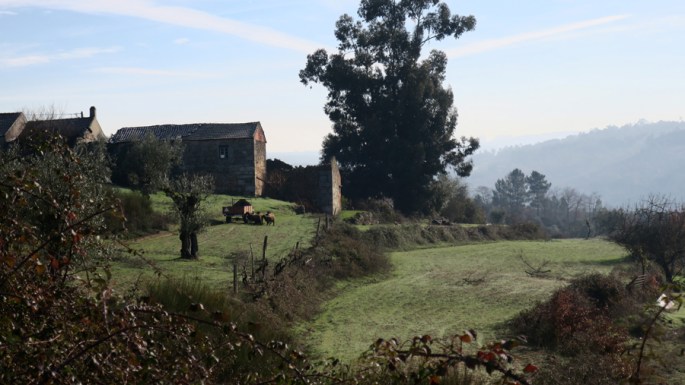 A vista da estrada para Viseu