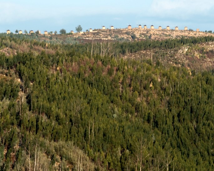 Serra com moinhos