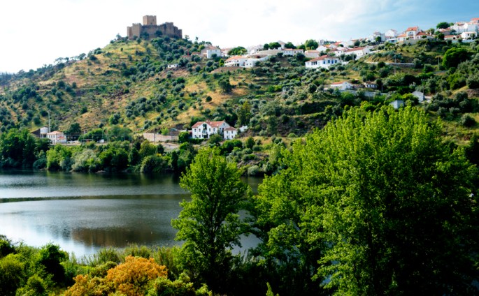 A vegetação recupera do incêndio
