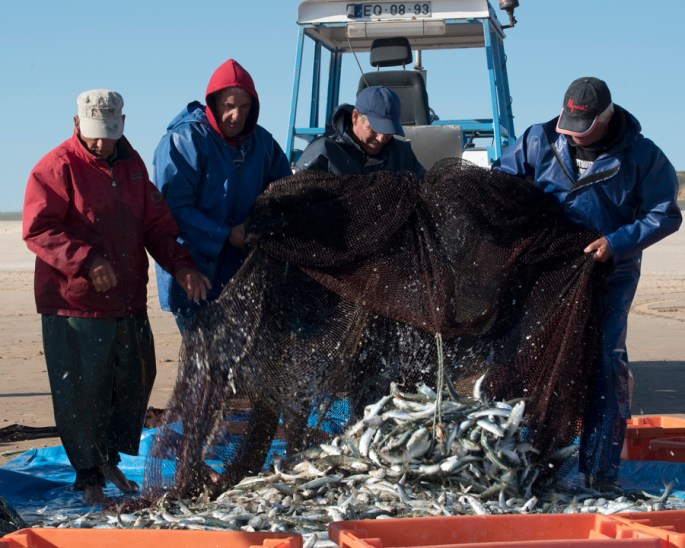 O pescado desta tarde