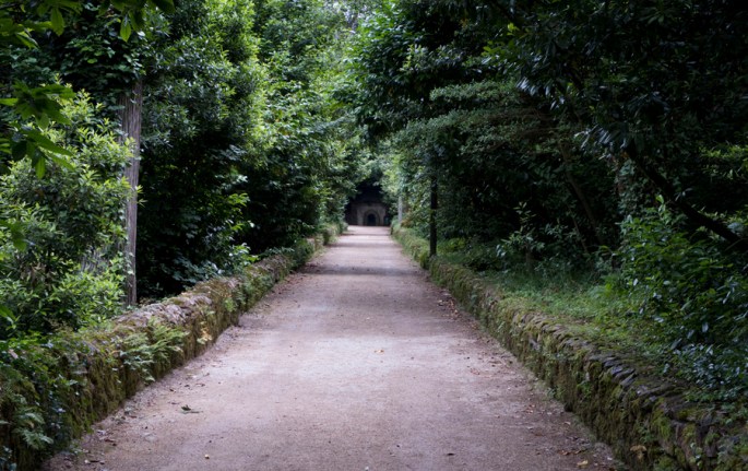 Longos caminhos na sombra das árvores e em silêncio