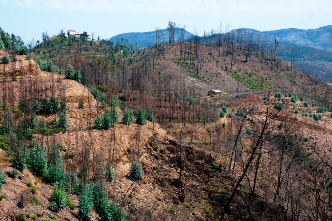 site_capela_serra_incendio_hdr
