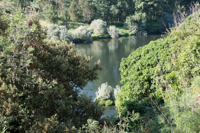 O Zêzere a contornar Janeiro de Baixo