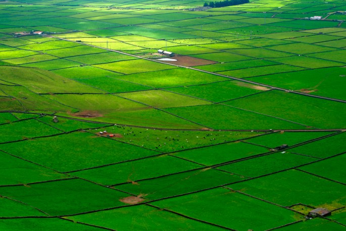 Casas e animais parecem miniaturas