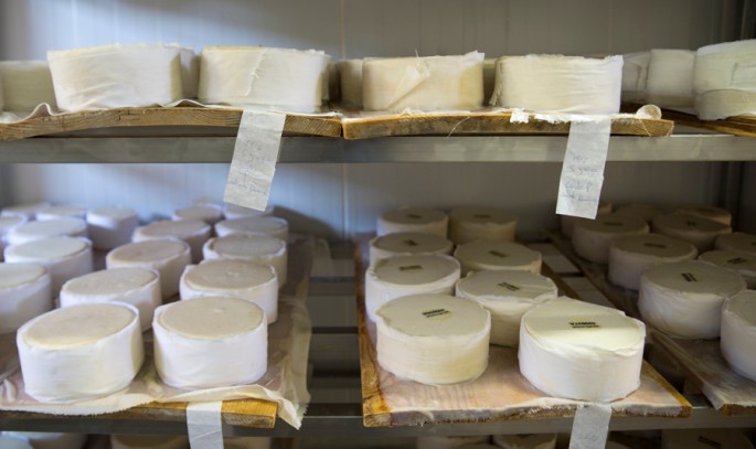 Queijo Serra da Estrela