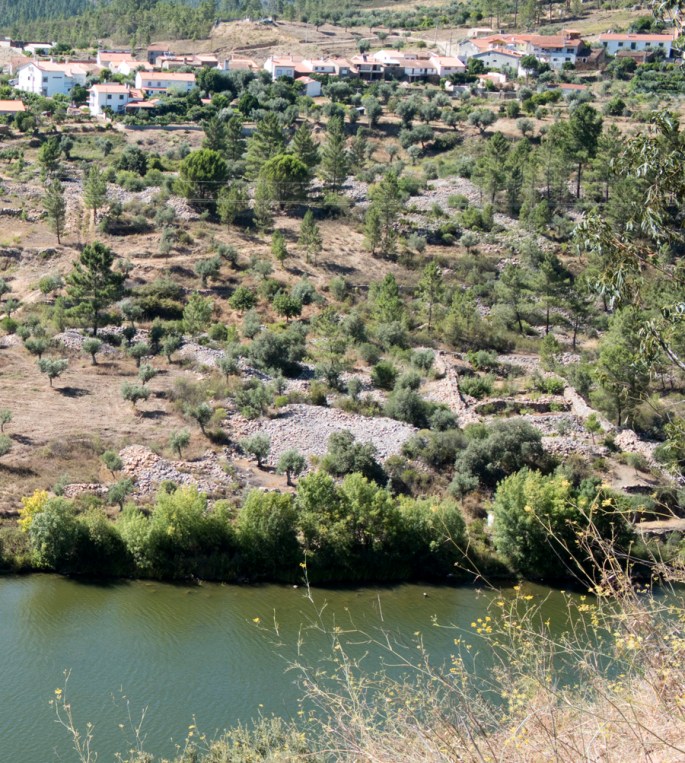 Conheira de Sobral Fernando