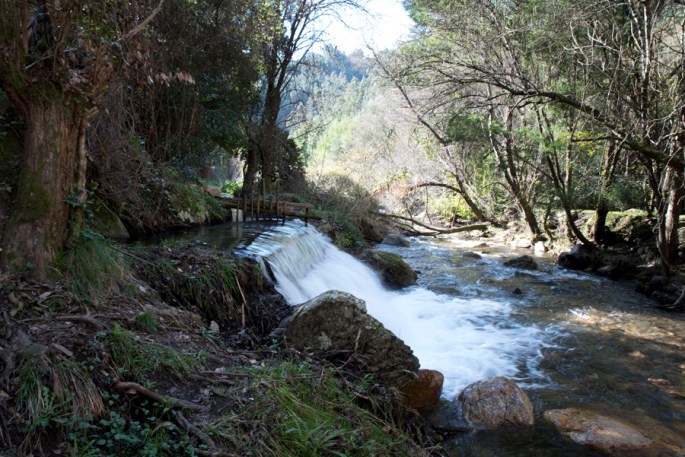 site_ssimao_praia_5412