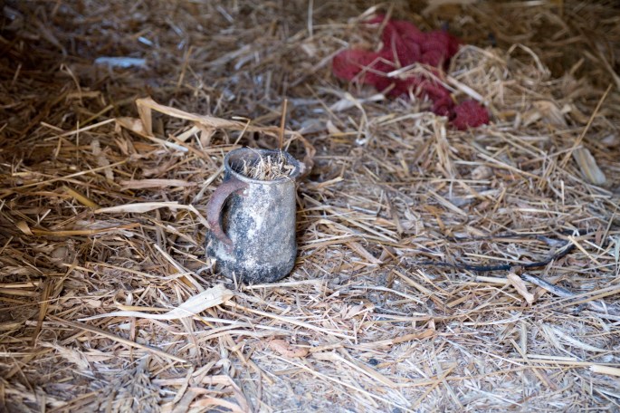 siteG_figueira_DSCF3389