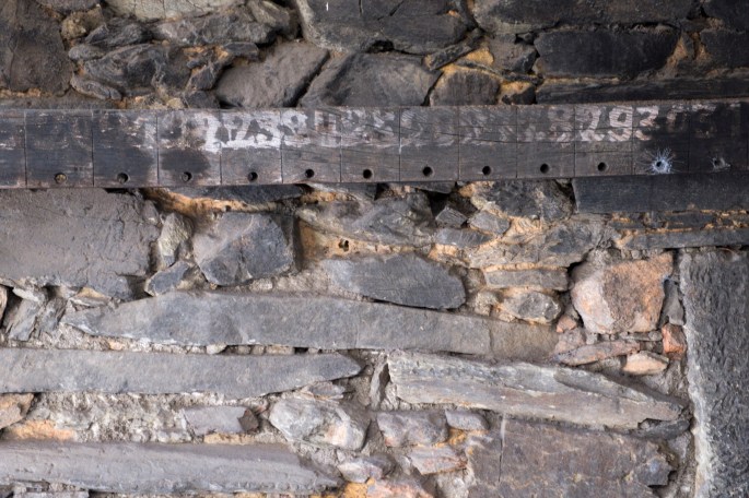 siteG_figueira_forno_DSCF3378