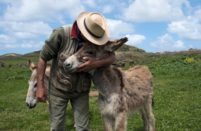 Franco "cumprimenta" um dos burros