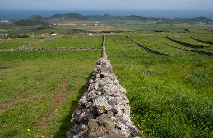 Campos agrícolas e pasto