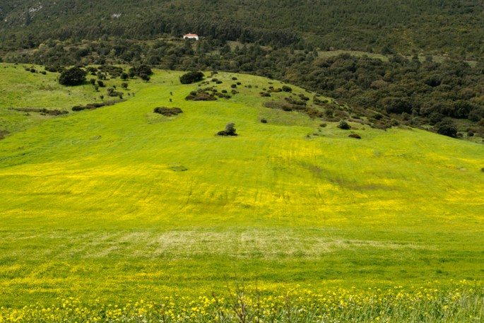 Sopé da serra de Montejunto
