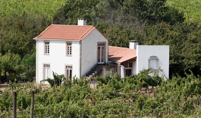 Uma das vinhas e a casa onse se fazem as provas