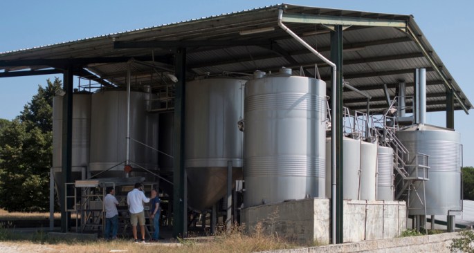 Adega da Quinta dos Roques