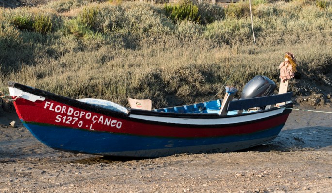 Barcos que fazem uma visita pelo estuário do Sado